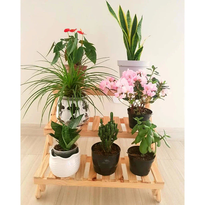 Jardim Vertical estante escada 3p para vasos Flores ou Horta na varanda Apartamento
